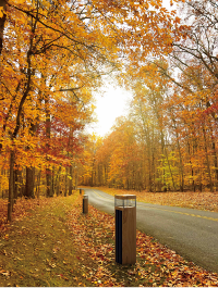 360 Solar by Shinetoo is a professional manufacturer of LED Solar lights. We have over 17 years of manufacturing experience