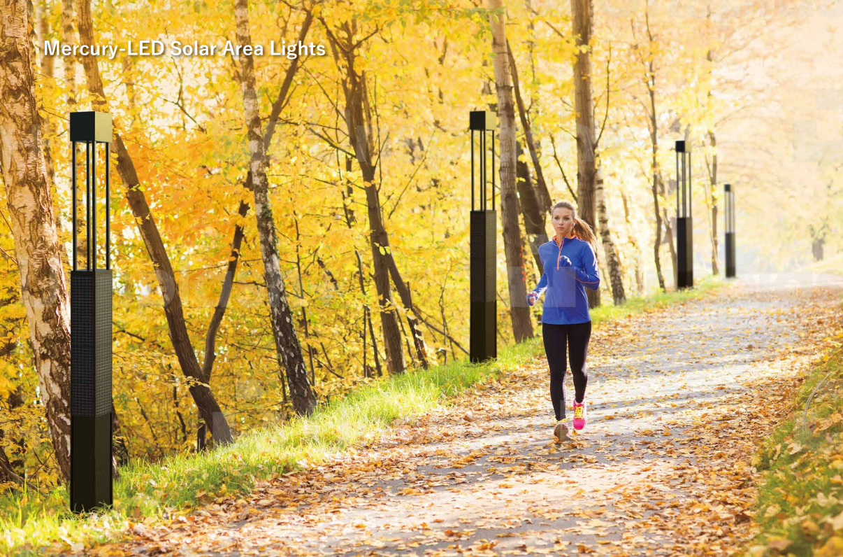 Mercury  LED Solar Area Lights 