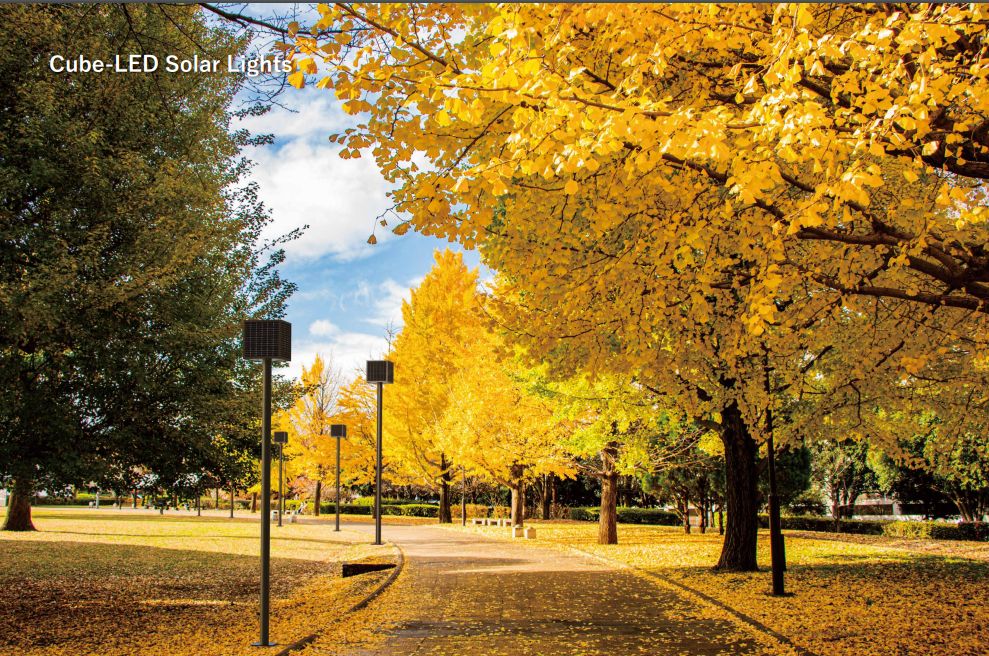 Cube LED Solar Lights