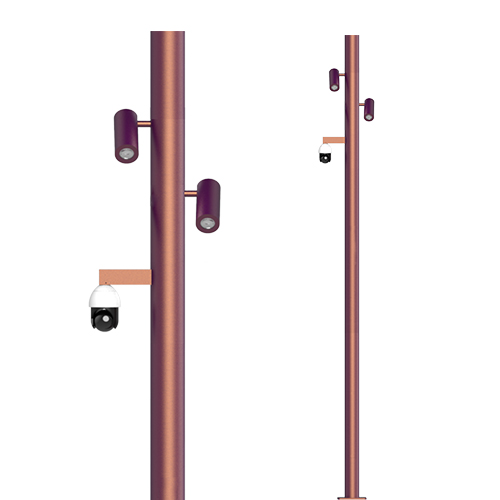 Smart Pole - Two LED Spot Light+PTZ